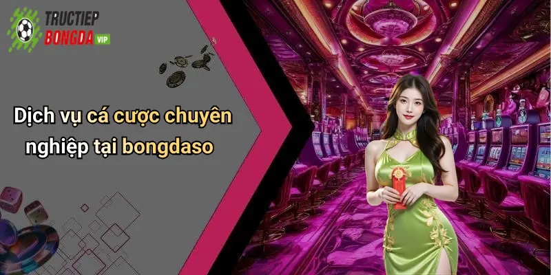 Dịch vụ cá cược chuyên nghiệp tại bongdaso