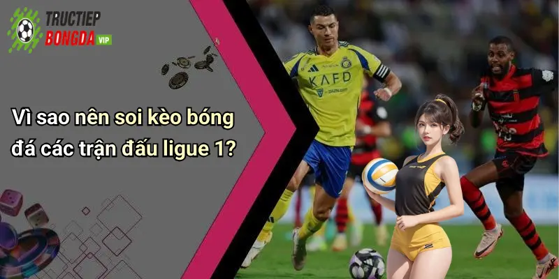 Vì sao nên soi kèo bóng đá các trận đấu ligue 1?