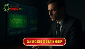 thumb - cá cược bóng đá chuyên nghiệp