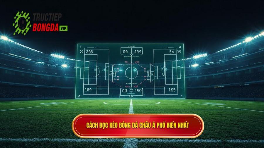 Cách đọc các loại kèo bóng đá Châu Á phổ biến nhất hiện nay