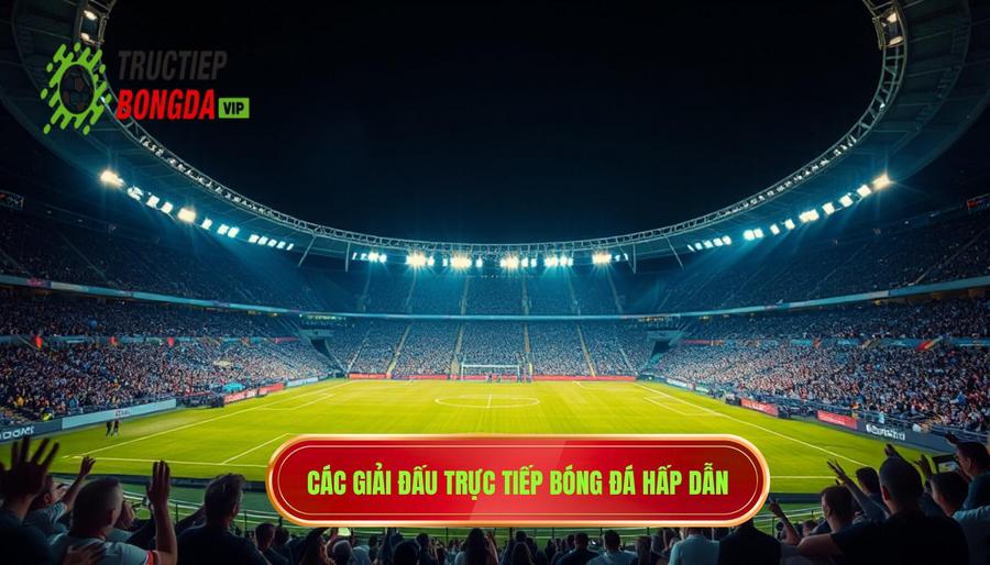 Những giải đấu không thể bỏ qua tại TRỰC TIẾP BÓNG ĐÁ