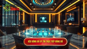 Kèo bóng đá cho người mới: Cẩm nang soi kèo chuẩn từ A-Z