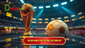 Soi Kèo World Cup: Cẩm Nang Cá Cược Từ Chuyên Gia TRỰC TIẾP BÓNG ĐÁ