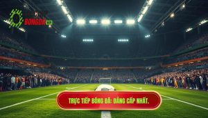 Bóng đá trực tiếp – cảm xúc thật nhất: Khi đam mê vượt qua mọi khoảng cách